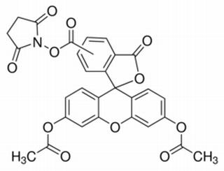 5(6)-羧基二醋酸乙酸熒光素琥珀酰亞胺酯