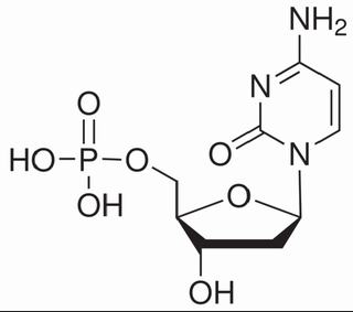 5ˊ-磷酸脫氧胞苷