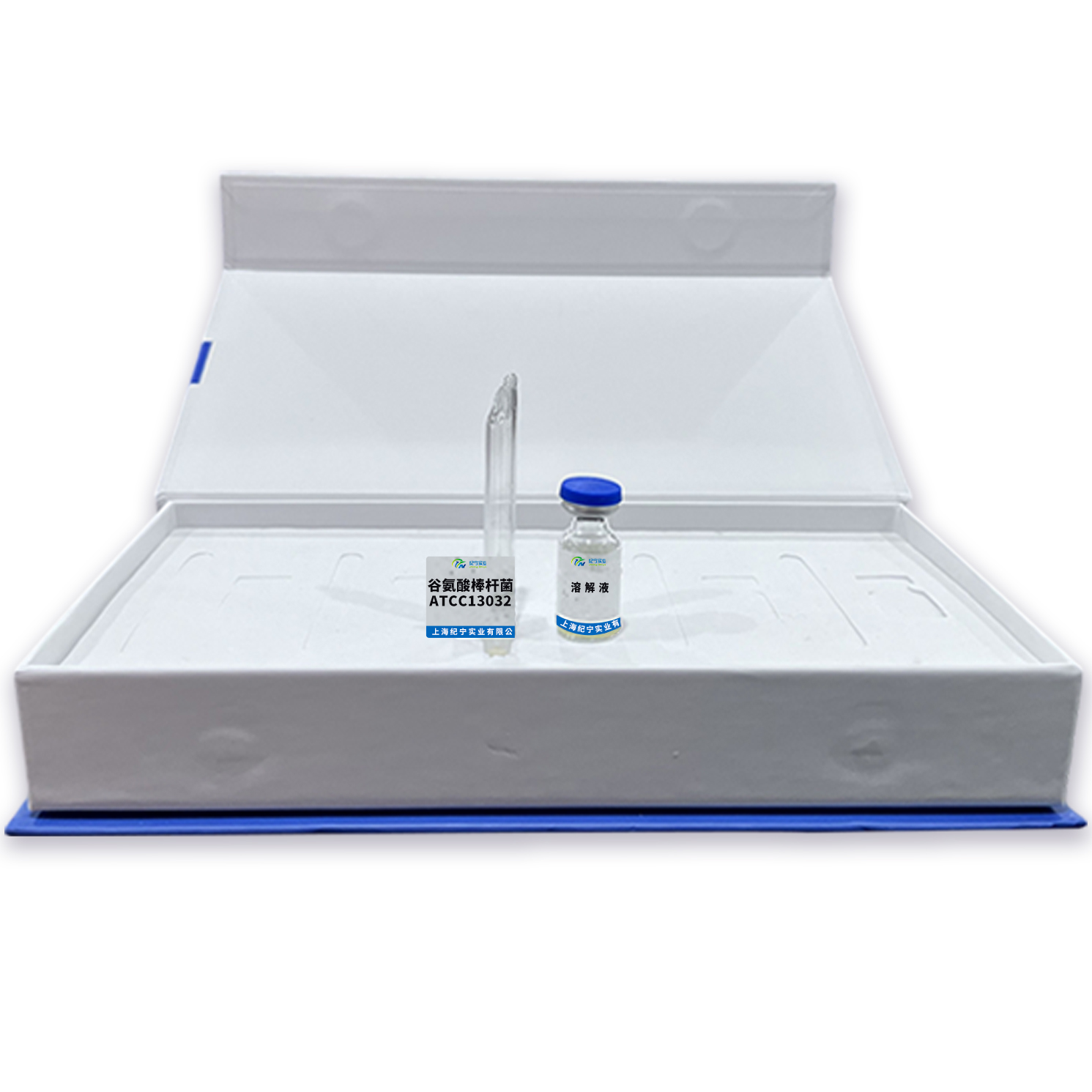 谷氨酸棒桿菌ATCC13032