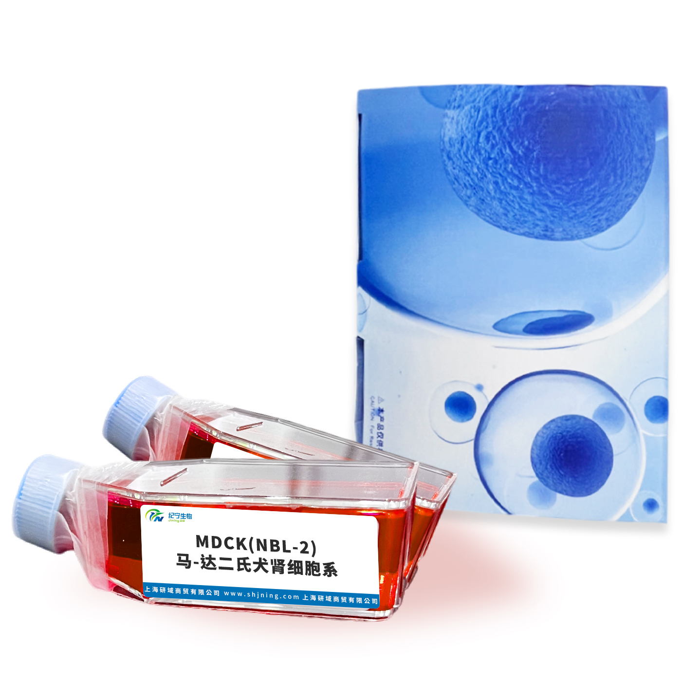 MDCK(NBL-2)馬-達二氏犬腎細胞系