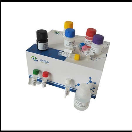 紀(jì)寧ELISA試劑盒